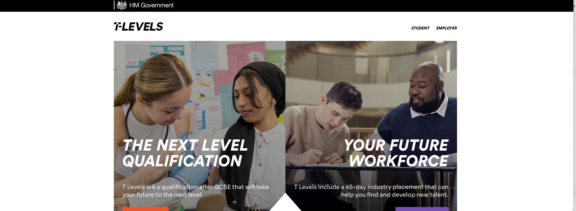 screenshot of the HM goverment website page on T-levels